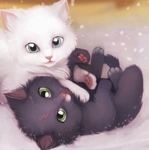 Meet your Posher, Aida